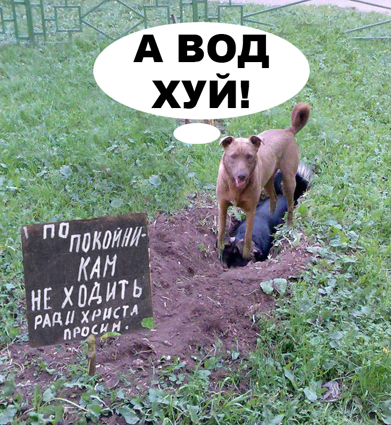 Фотожаба: да здесь где-то недалеко!