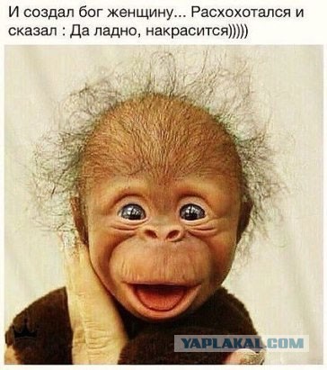 Юмор не для всех