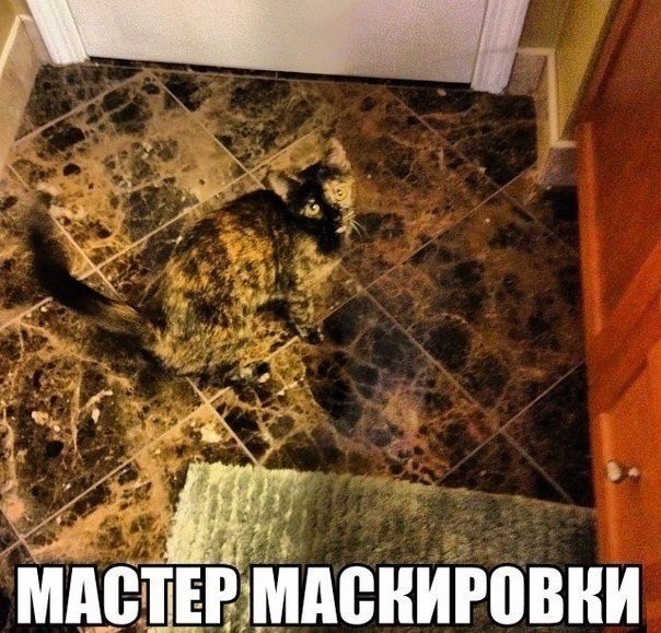 Подборка картинок