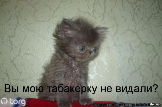 Подборка интересных и веселых картинок