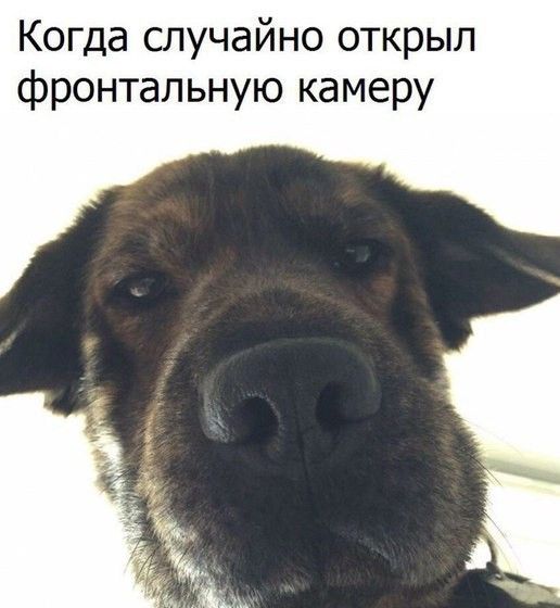 Разные картинки
