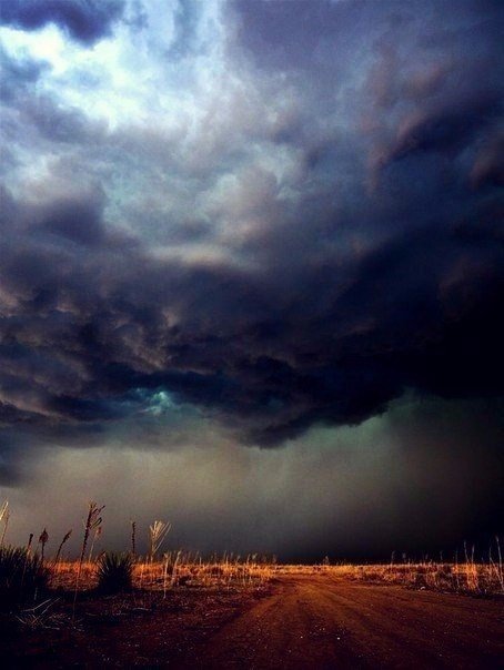 Моменты, запечатлённые на фото и просто позитив 5