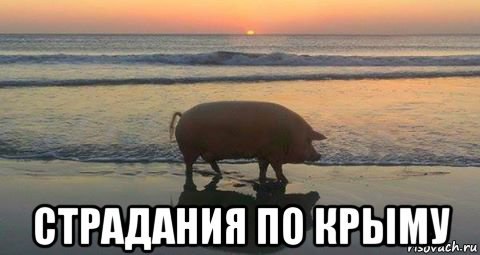 Белый дом: Трамп ожидает, что Россия «вернёт Крым»