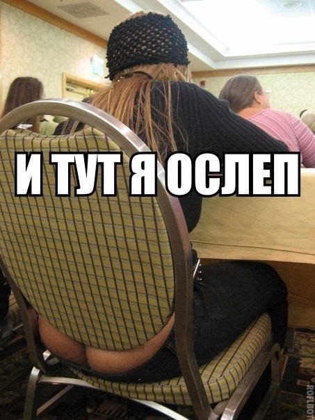 Подборка безудержного веселья