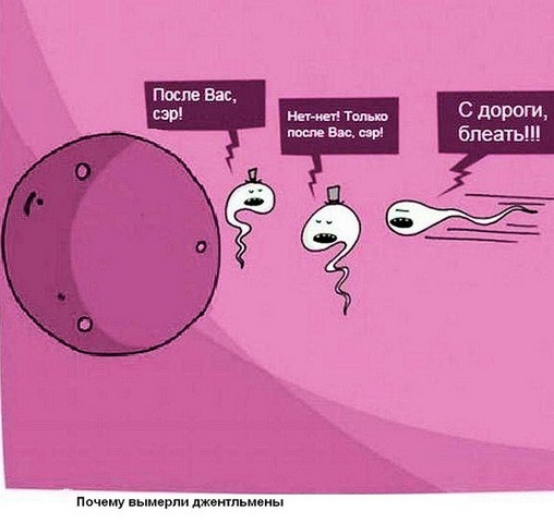 Начало жизни: от зачатия до рождения (24 фото)