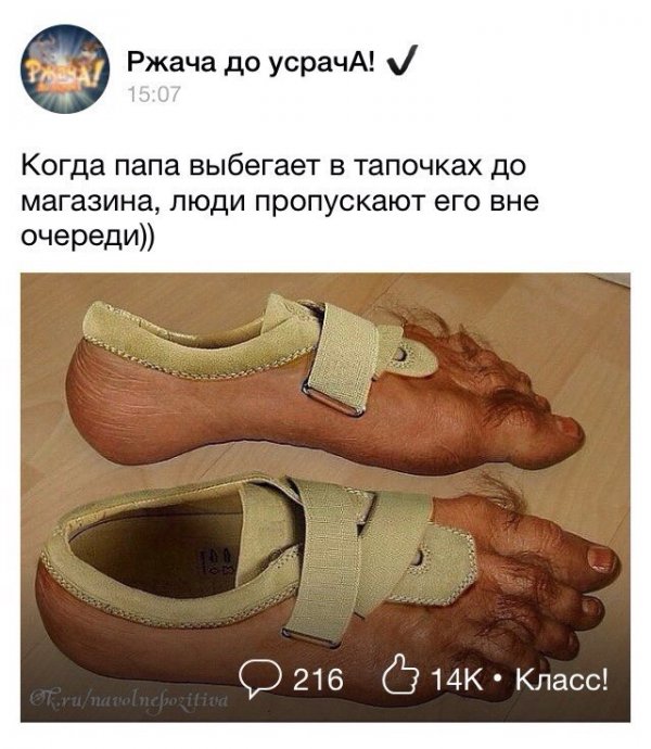 Деграклассники - 5