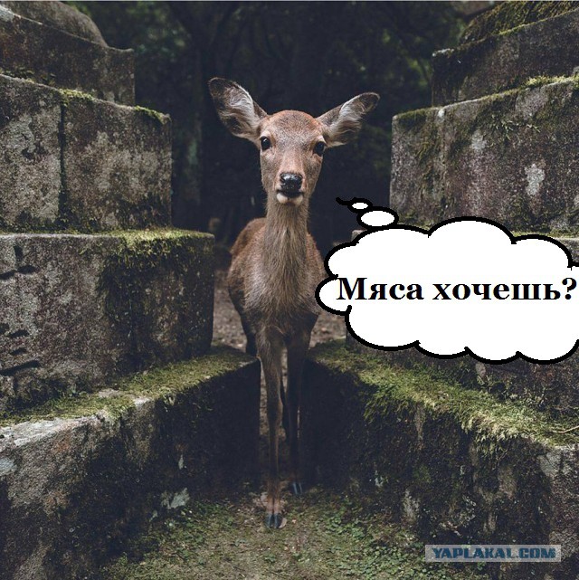 Подборка интересных и веселых картинок