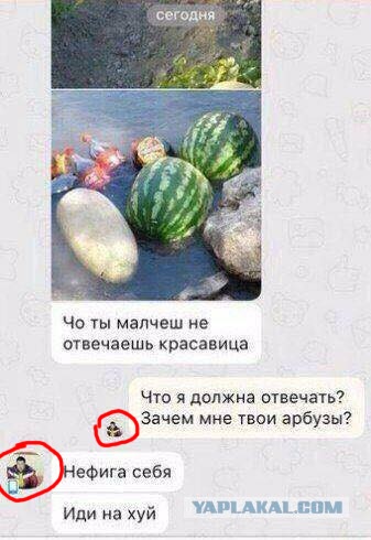 Забавные комментарии, шутки и фразы из этих ваших интернетов