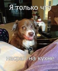 Подсобирал немного картинок .... местами с юмором