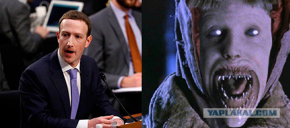 Все понятно, Цукерберг не рептилоид, он - робот! И этому есть доказательства