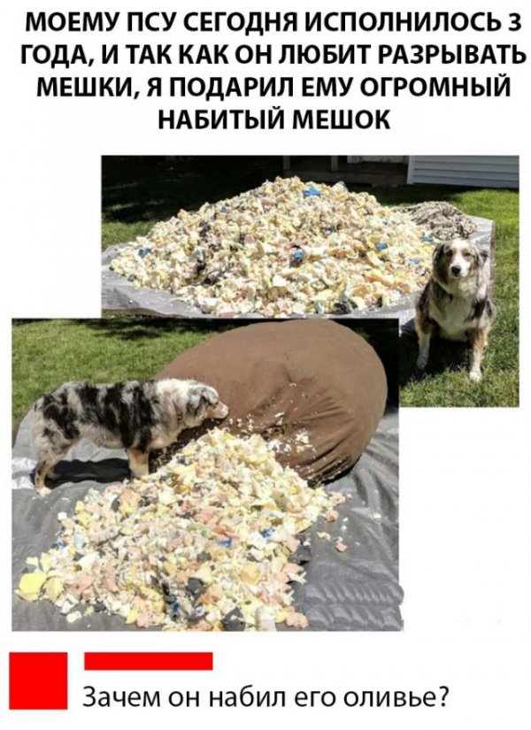 Нестандартный юмор