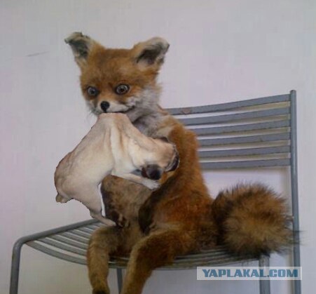 Смертельный номер!