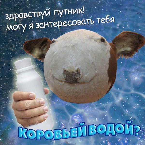 Краденые картинки