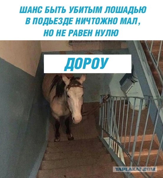Бредзона 10.01.2020