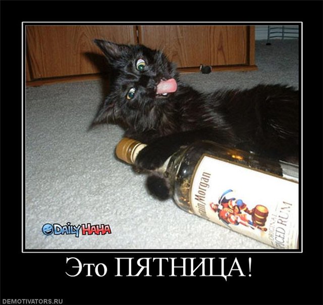 Алкоты, пост!