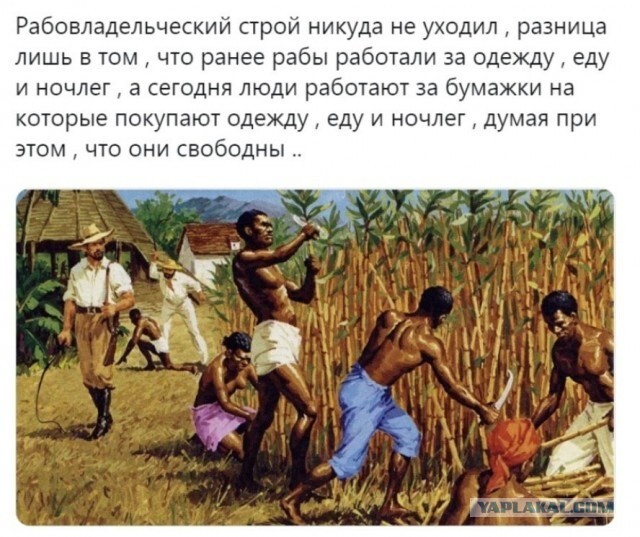 Бредзона 20.10.2020
