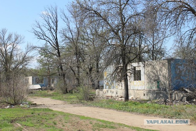 Почему я никогда не отправлю своих детей в летний лагерь