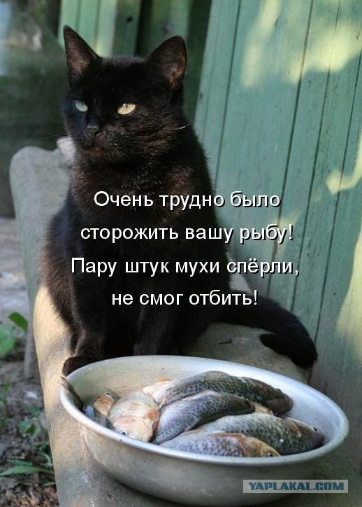 Рыбаки про антироссийские санкции: «Рыбу и краба на экспорт не отправить, но и в стране не продать»