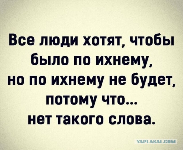 Весёлый полтишок 14.06.22