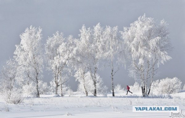 Деревенская Америка