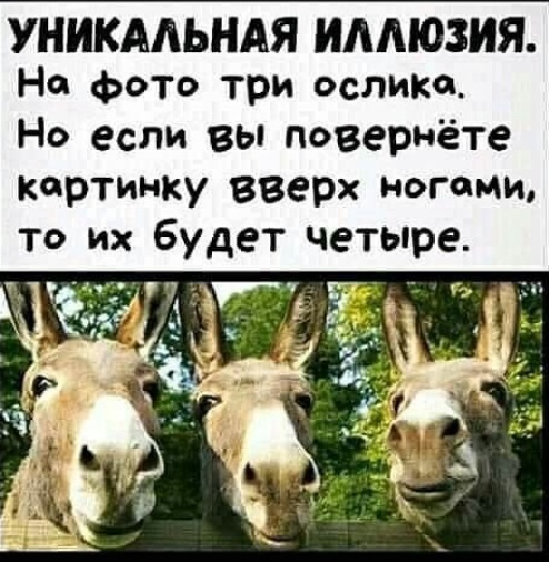 Бес_системы