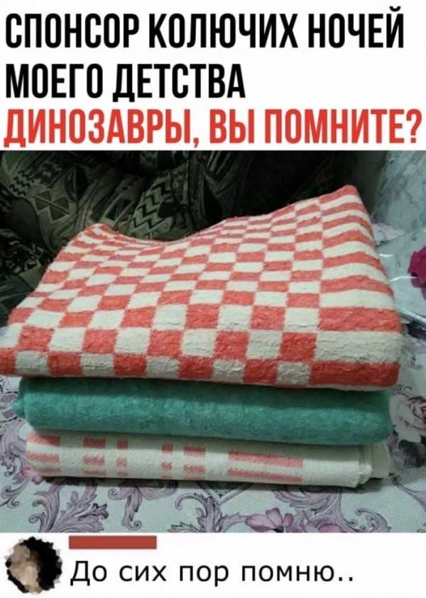 Весёлый полтишок 08.05.23