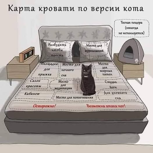 Веселые картинки в понедельник (10.02)