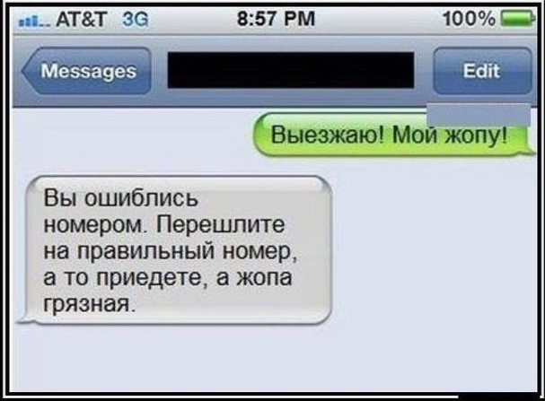 Кот пердит