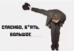 В Думе заверили в отсутствии планов вводить штрафы за использование VPN