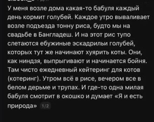 Картинки для деградации 194 (разной степени свежести)