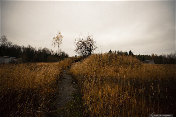 Радиолокационная станция «Дунай-3м» (19 фото)