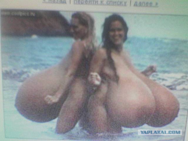 Давайте знакомиться