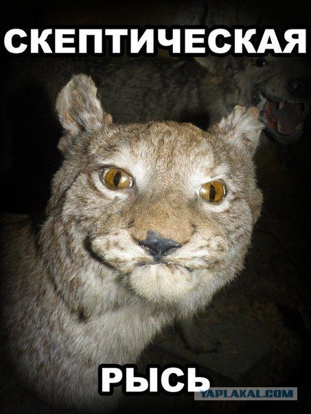 Смотрю открытие Олимпиады!