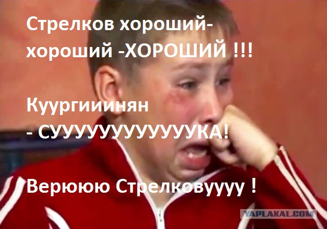 Стрелков берет оборону в свои руки