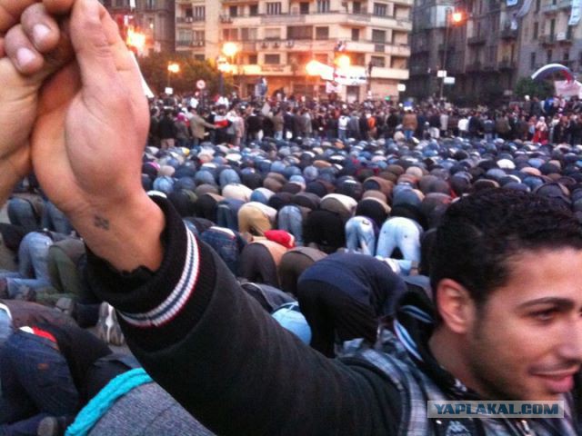 Резня на «скотном дворе»