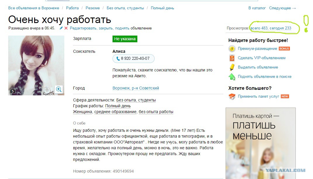 Резюме на авито. Объявления людей которые ищут работу. Авито резюме. Ищу работу объявления людей. Работа без образования и опыта.