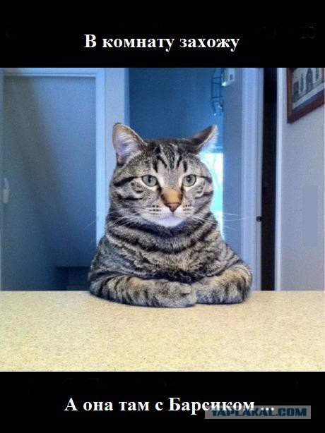 Грустная история