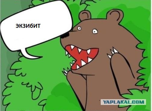 Вот такой пепелац