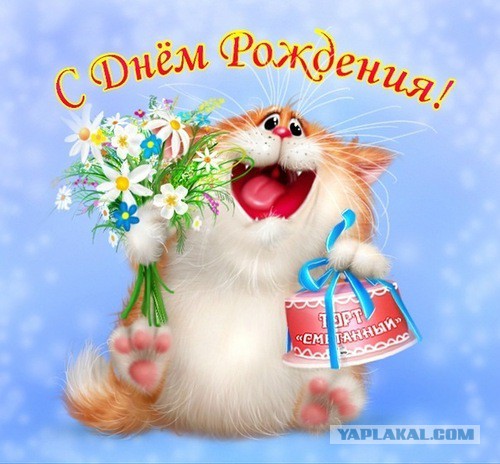 ЯП, С Днём Рождения !