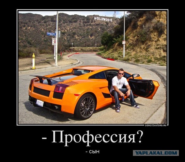 20-летний мажор-стритсракер убил молодую семью...