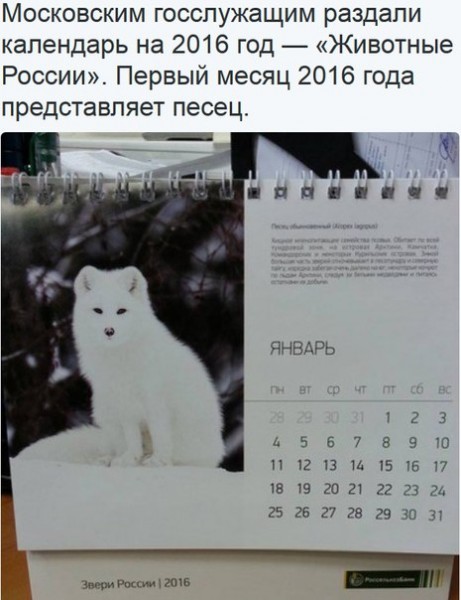 Подборка картинок из сети