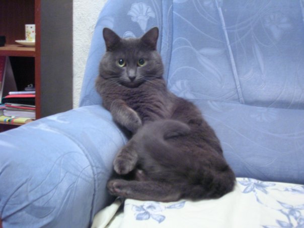 Этот ВЗГЛЯД!