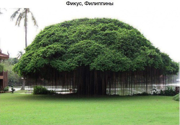Интересные и веселые картинки