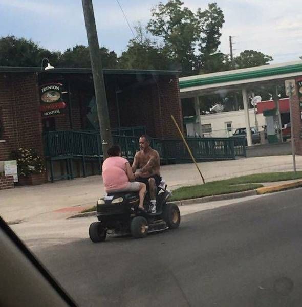 Картинки и приколы из сети