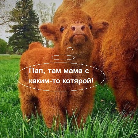 Подборка интересных и веселых картинок