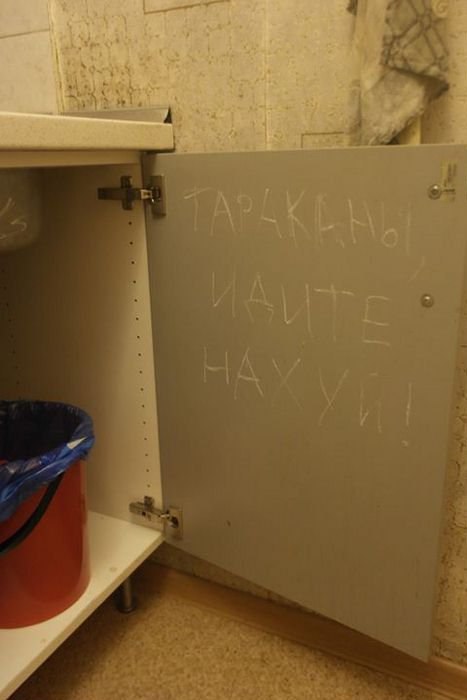 Всякая всячина