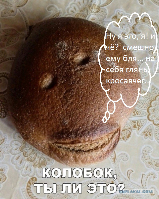 Подборка интересных и веселых картинок