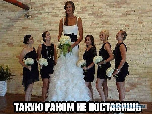 Психически-нестабильных картинок пост