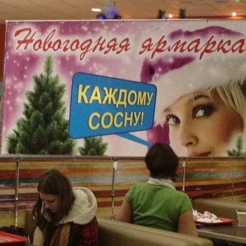 Скотсети и прочие интернеты 04.12.17