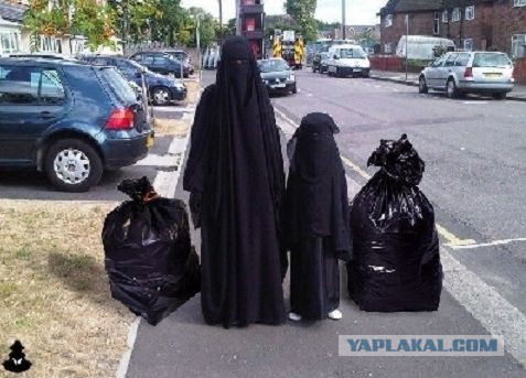 Нападение опасного зверька на девушку
